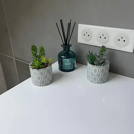 Loft Alsacien Apartment *