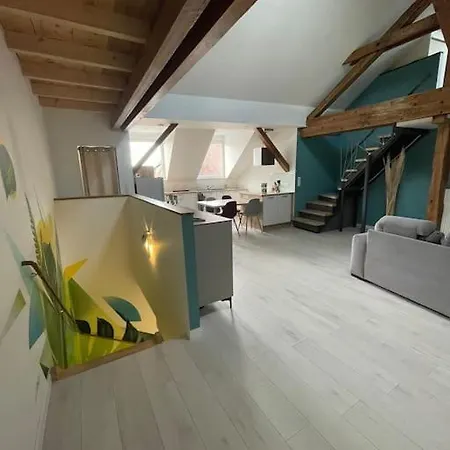 Διαμέρισμα Loft Alsacien
