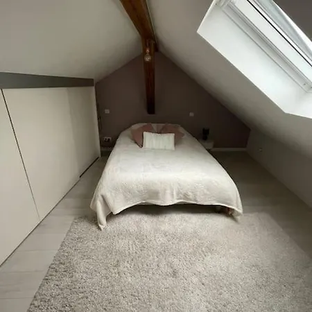 Loft Alsacien Apartment Marckolsheim