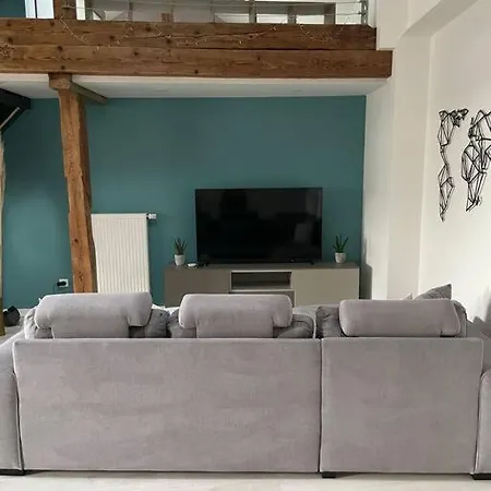 Loft Alsacien Apartment