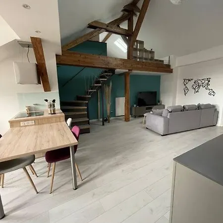 Apartment Loft Alsacien *